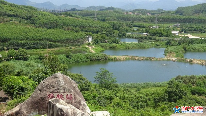 漳浦地厝人口_漳州漳浦庄厝村习俗(2)