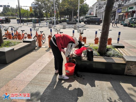 受权发布）中央办公厅 国务院办公厅印发《农村人居环境整治三年行动方案
