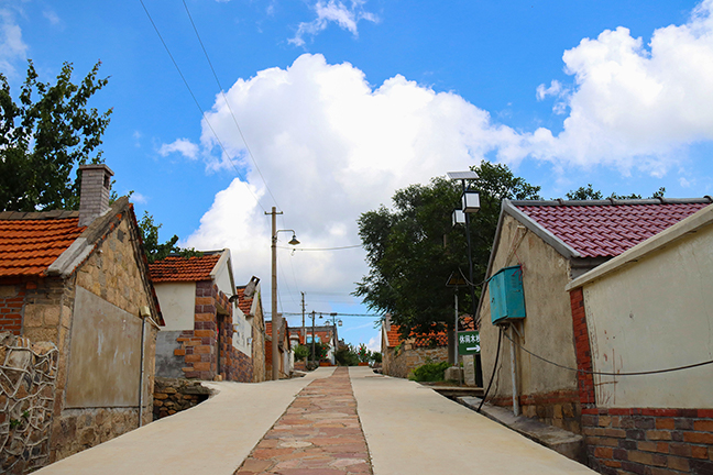 走进后石沟村中石大学子调研乡村影视拍摄基地