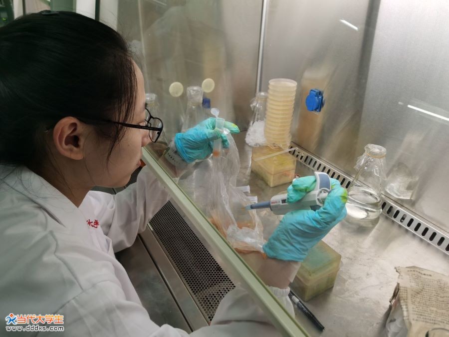 西农大食品学院调研队理论知识入实践菌群检验保食安